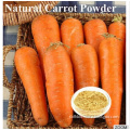 Dired 100% Natural Dehydrated Carrot Powder Supplier